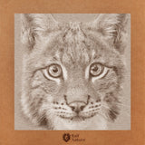Lynx XR T-Shirt