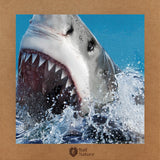 Shark Attack T-Shirt Kids