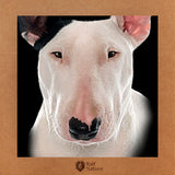 Bull Terrier T-Shirt