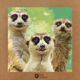 Meerkats T-Shirt Kids