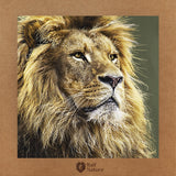Lion T-Shirt