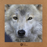 White Wolf T-Shirt