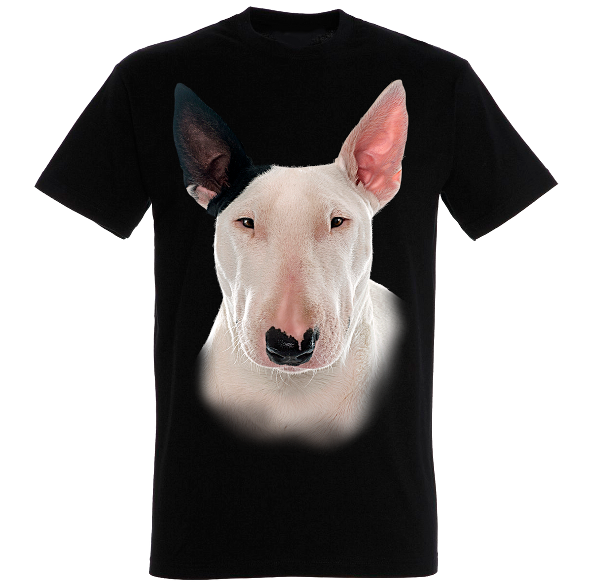 Bull 2024 terrier apparel
