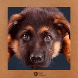 German Shepherd Cub T-Shirt Kids