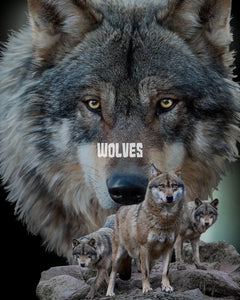 WOLVES