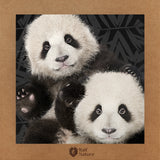 Panda Bros. T-Shirt Kids