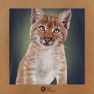 Lynx Cub T-Shirt Kids